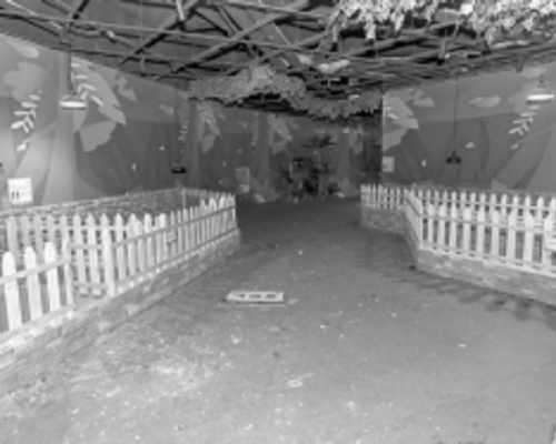 湖南長沙一動物園疑因新冠肺炎閉園,活活餓死動物。網圖