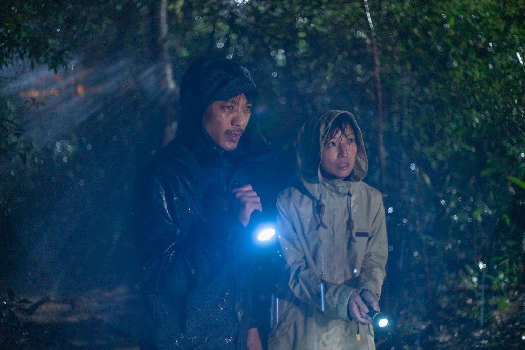 戏中二人为了寻找逃学的兄妹，夫妻齐心在午夜深入森山。