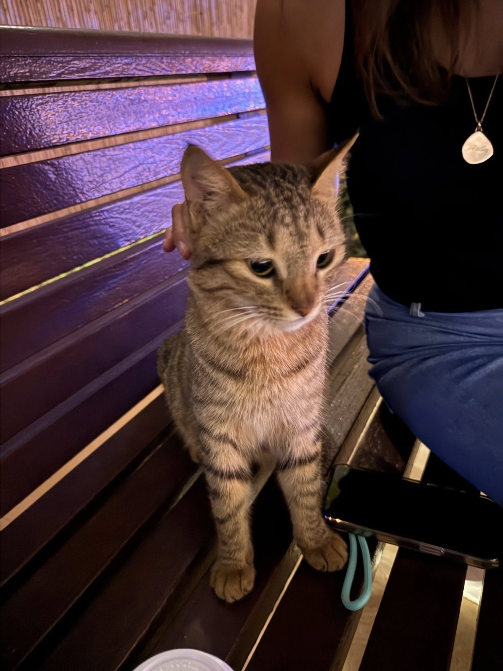 facebook專頁「Save Dubai's Animals!」亦貼出無數在杜拜待救的動物。