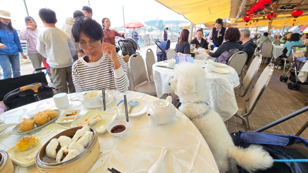 政府計劃修例容許狗進入食肆。資料圖片