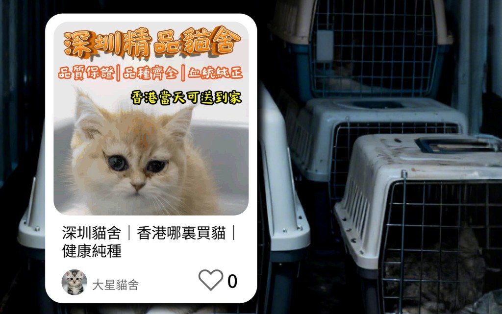 海關籲市民拒絕走私寵物：走私不是愛，是虐待