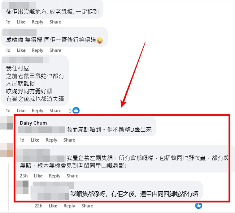 facebook截圖(資料來源:Daisy Chum@facebook香港滅蟲關注組) facebook截圖(資料來源:Daisy Chum@facebook香港滅蟲關注組)