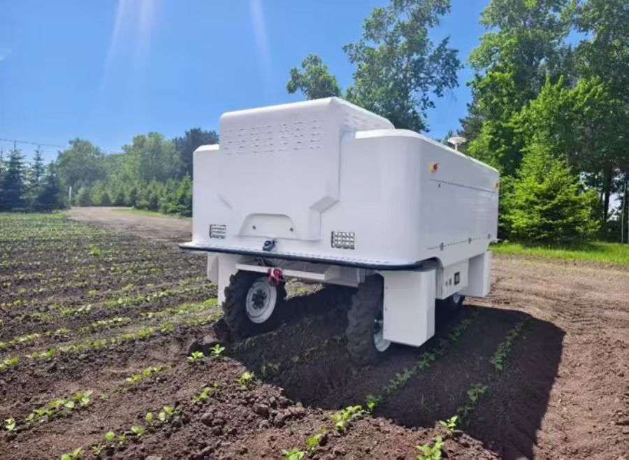 自走式智能机械人在田间作业。 自走式智能机械人在田间作业。