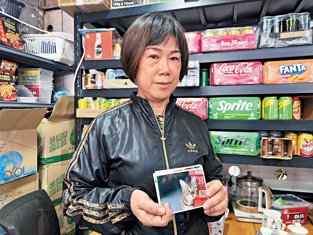 貓主陳太盼「偷貓人士盡快現身,畀返隻貓我!」