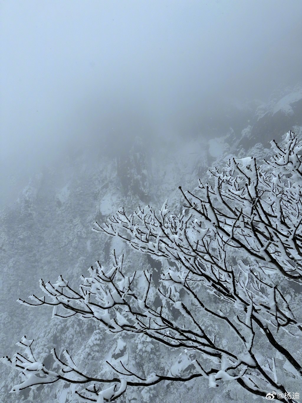 黃山被大雪封山，銀裝素裹。（微博）