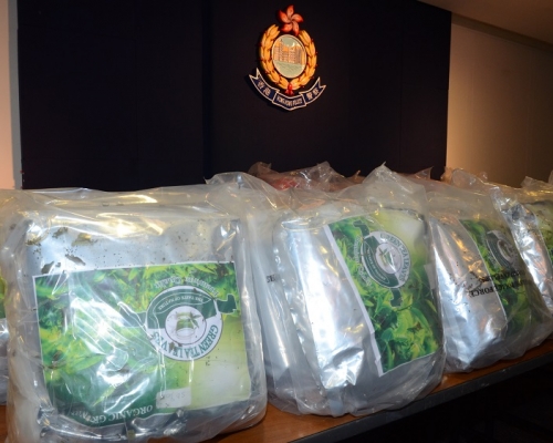 警方搜出超過1公噸恰特草毒品