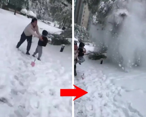樹枝被積雪壓斷，爸爸迅速抱走兒子。