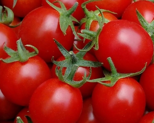 進食車厘茄有助防衰老。網圖