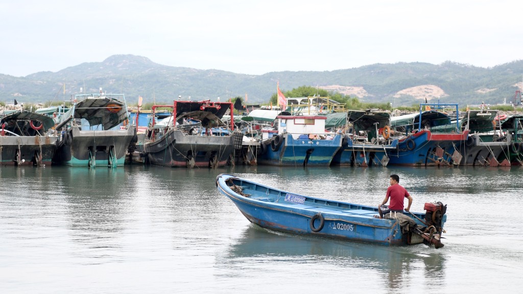 在廣東省汕尾港避風塘，漁船歸港避風，漁民陸續撤離。  新華社