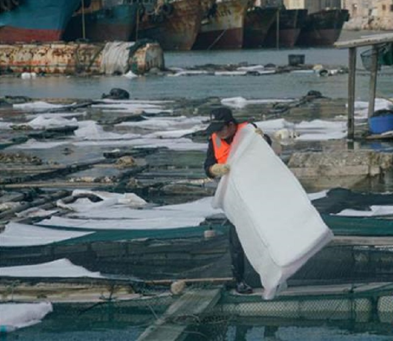 福建泉州发生泄漏化工原料「碳九」。网上图片