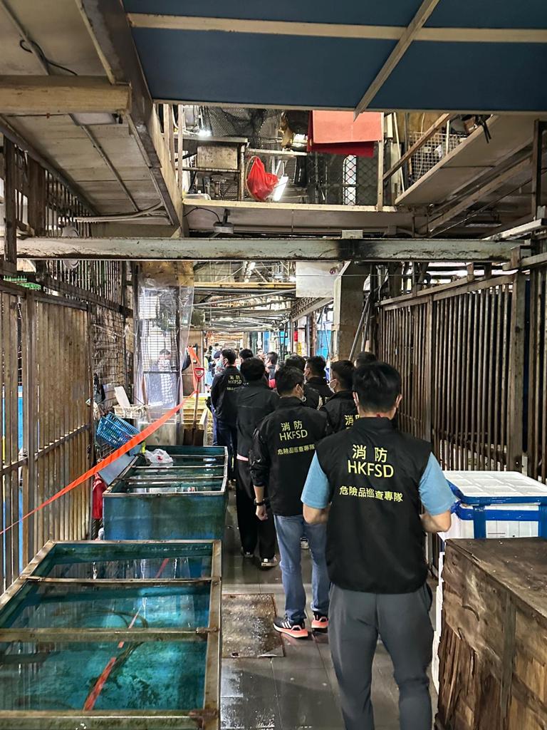 警方联同竞委会巡查香港仔鱼市场。