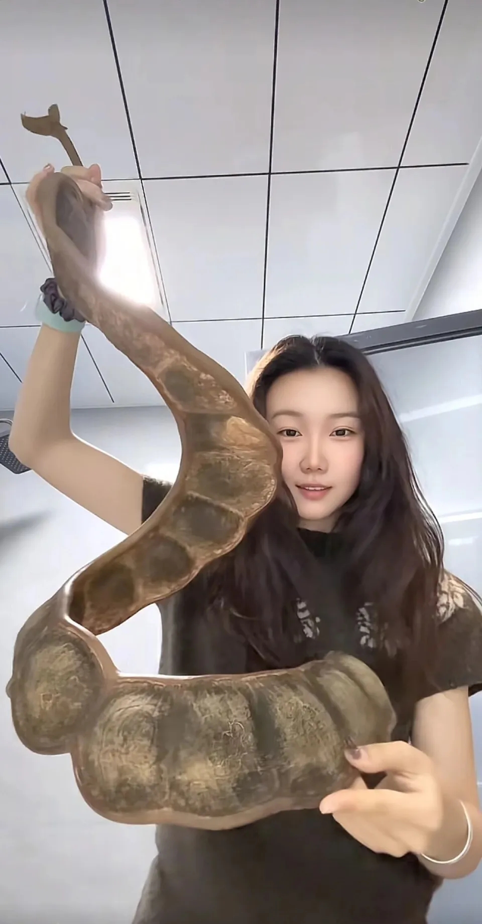 女子¥64購1米長巨豆莢，雲南搭機回大連成焦點。