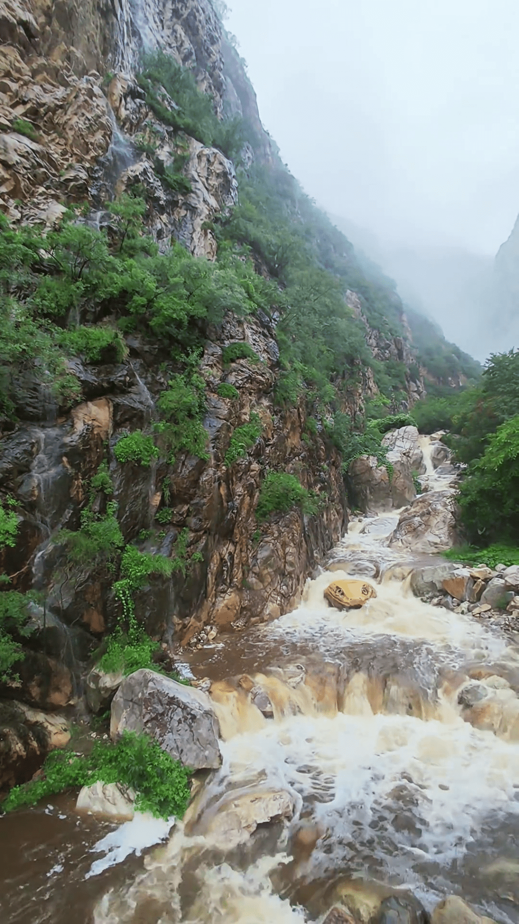 河南嵩山玉皇溝景區 「巨型蛇頭」彩繪,非常逼真。 河南嵩山玉皇溝景區 「巨型蛇頭」彩繪,非常逼真。
