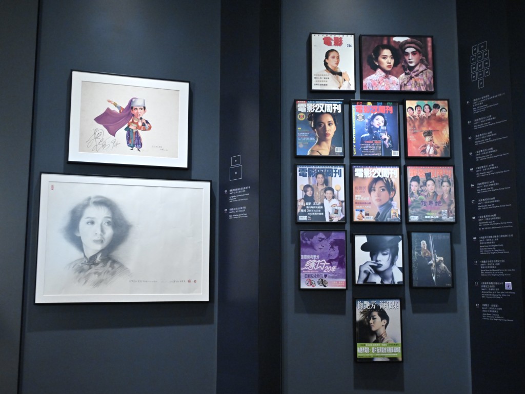 展覽展出梅艷芳相關的流行文化產物，包括漫畫、雜誌封面及素描手稿等。政府新聞處圖片