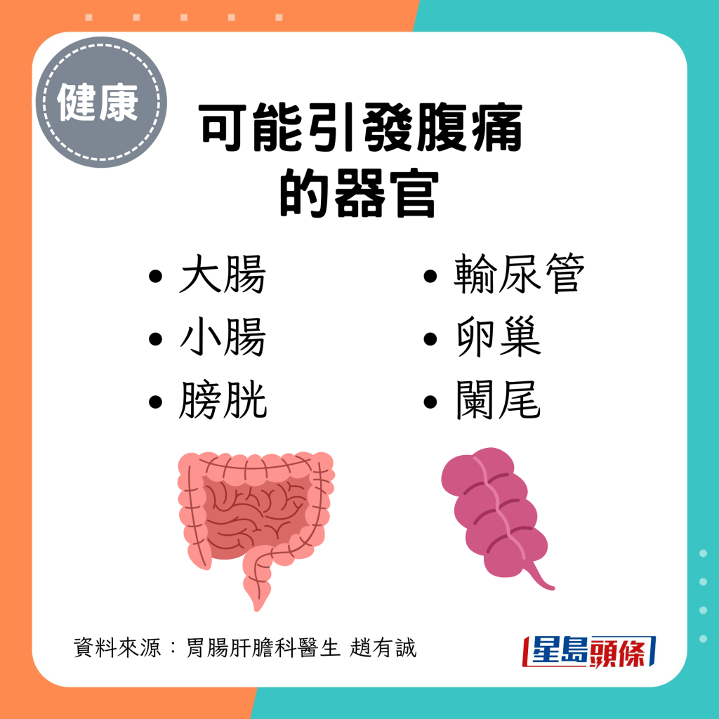 可能引发腹痛的器官：大肠 小肠 膀胱 输尿管 卵巢 阑尾