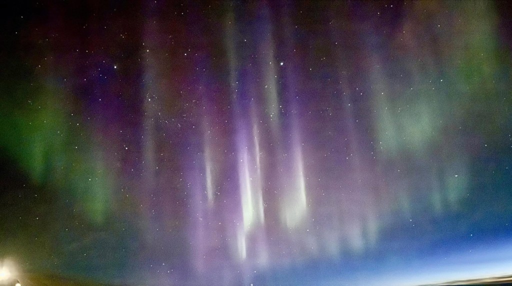 Threads截圖(資料來源:elaine9289@Threads) Threads截圖(資料來源:elaine9289@Threads)