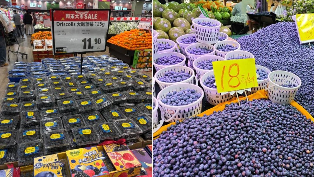 國產藍莓湧入市場下，令藍莓出現「白菜價」。小紅書＠我的馬兒不吃草、林迪PPT