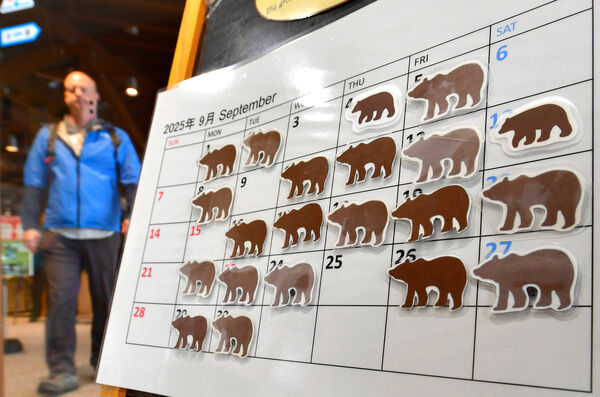 日本今年熊患发生频率远超往年。美联社