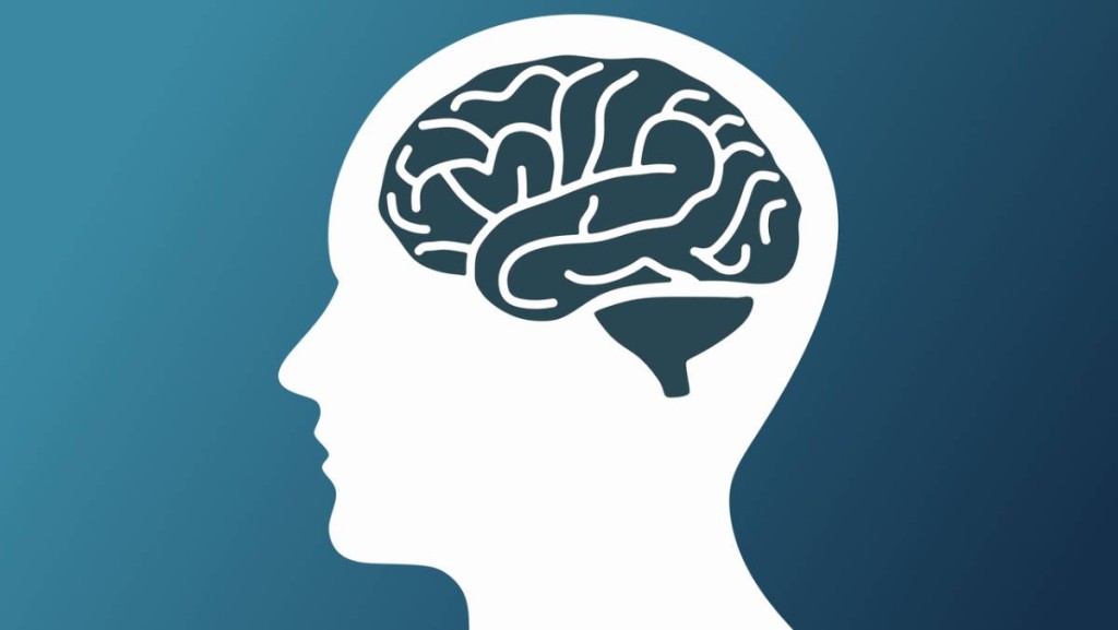 投资前唔该用吓个脑｜曾智华