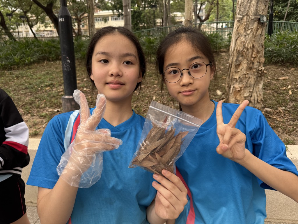 學生參與發現白千層枯葉的氣味,恍如長者日常使用的驅風油。(學校圖片) 學生參與發現白千層枯葉的氣味,恍如長者日常使用的驅風油。(學校圖片)