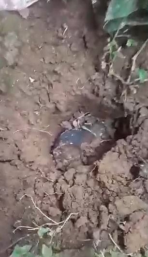 當在地上發現隕石昤,因為太熱撿不起來。(網圖)