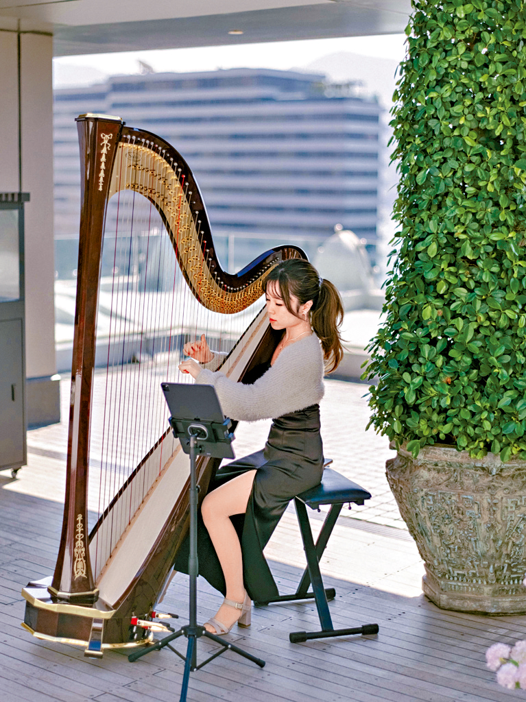 Katie致力提升豎琴音樂在社區嘅影響力。