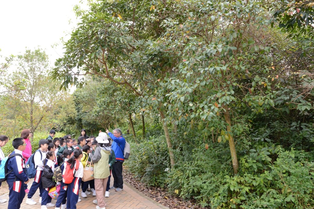 2019年香港碳匯的溫室氣體總吸收量為46.5萬公噸二氧化碳當量,約為香港溫室氣體排放總量1%。資料圖片