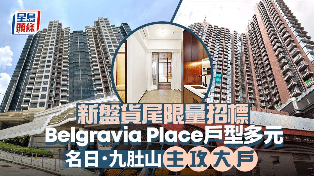 新盤貨尾限量招標 乘勢促銷廣吸客源 Belgravia Place戶型多元 名日．九肚山主攻大戶