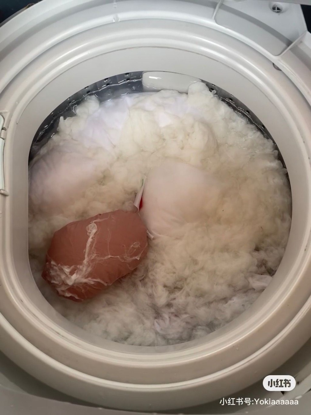 网民放枕头入洗衣机洗，打开后见棉花爆开崩溃求救。（图片来源：小红书@下辈子）