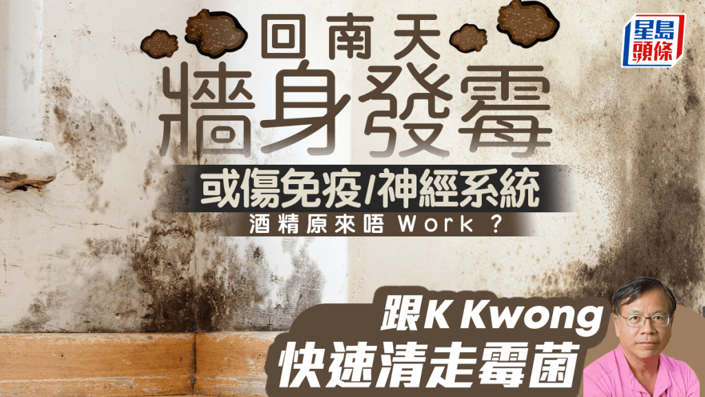 回南天牆身發霉或傷免疫/神經系統  酒精原來唔Work？ 跟K Kwong快速清走霉菌