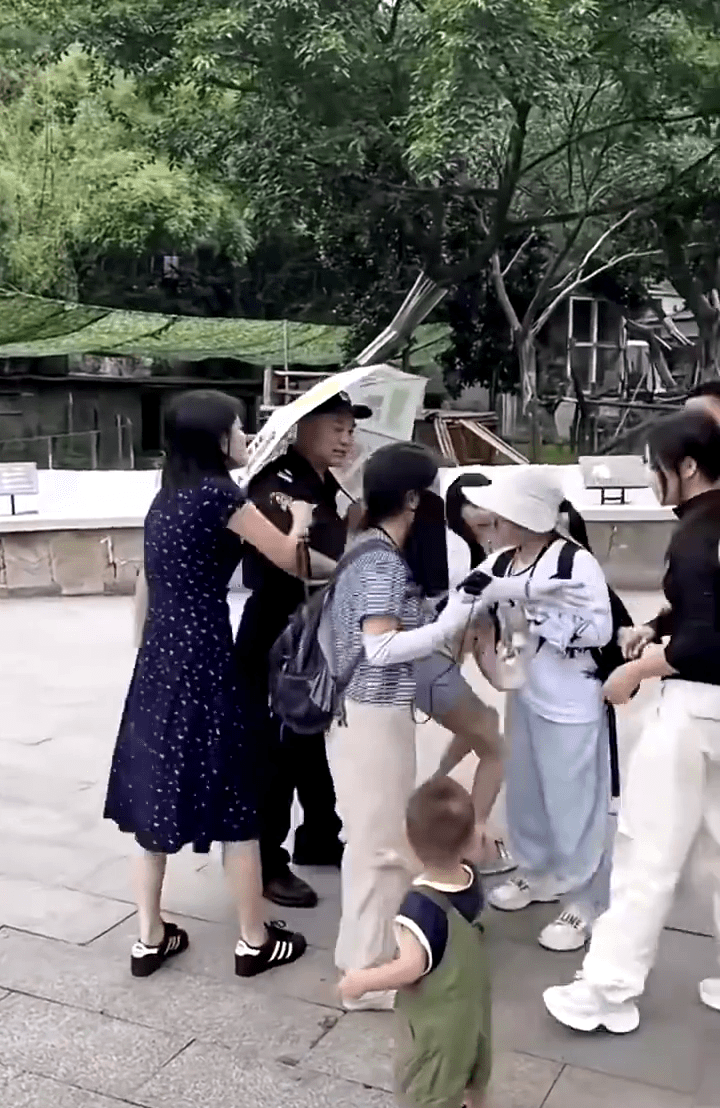 因被制止對熟睡大熊貓嚎叫,「野蠻家族」圍毆出言女子(黃衫、倒地者),保安到處未能控制場面。 因被制止對熟睡大熊貓嚎叫,「野蠻家族」圍毆出言女子(黃衫、倒地者),保安到處未能控制場面。