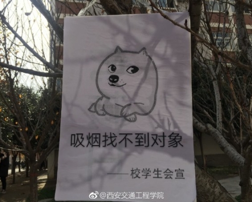 西安交通工程學院微博圖片