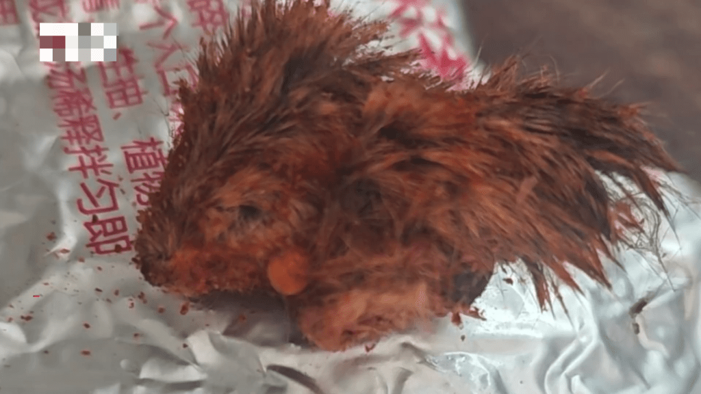 消費者稱網購辣椒麵疑吃出「鼠頭」,還有很多毛。 消費者稱網購辣椒麵疑吃出「鼠頭」,還有很多毛。