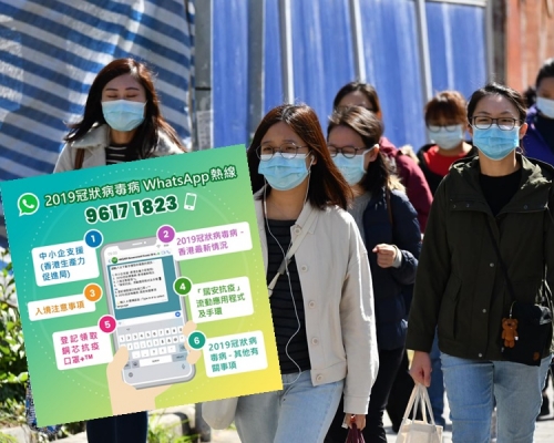 政府推出Whatsapp熱綫。
