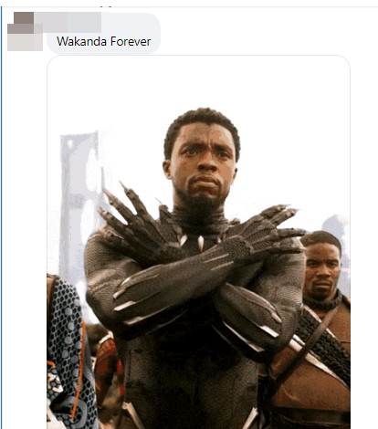 网民贴图认为四眼哥动作如电影《黑豹》主角的「wakanda forever」手势。