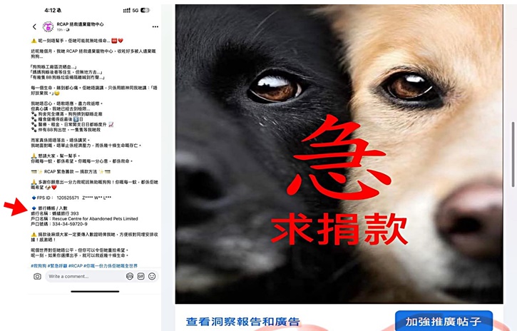 假冒流浪貓狗之家網站最近湧現。