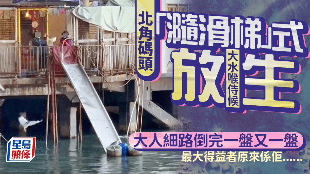 北角碼頭「瀡滑梯」式放生 大水喉侍候 大人細路倒完一盤又一盤 最大得益者原來係佢......