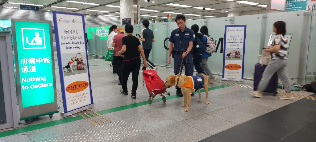 海關與食安中心近月持續進行聯合執法行動，安排檢疫偵緝犬在各陸路口岸加強抽查。(來源：新聞公報)