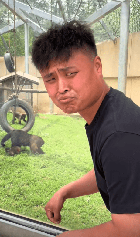 抖音網紅撞臉「方臉猴」親赴動物園朝聖「認親」。 抖音網紅撞臉「方臉猴」親赴動物園朝聖「認親」。