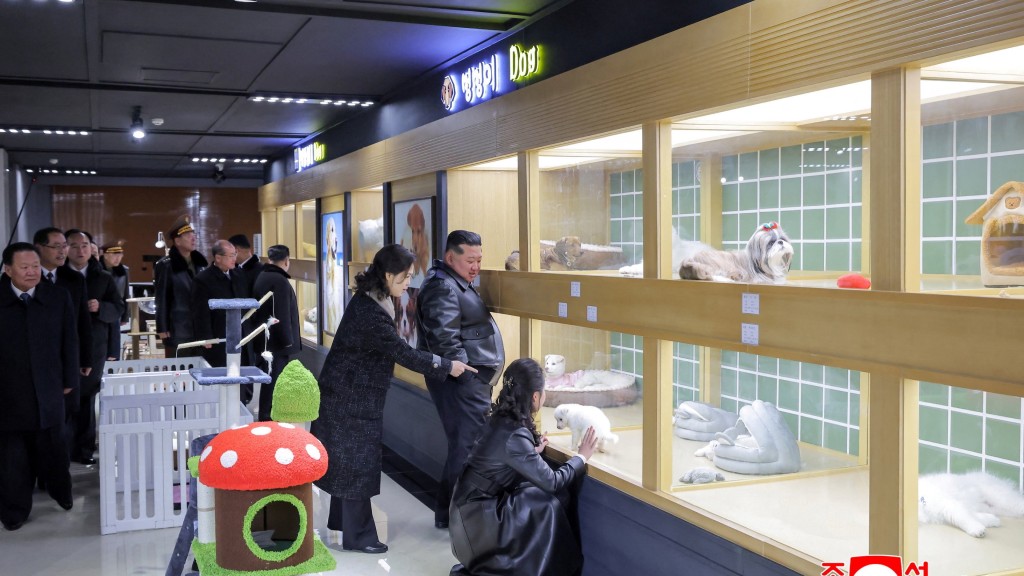 金正恩與金主愛視察「晨星大街」寵物店。 路透社