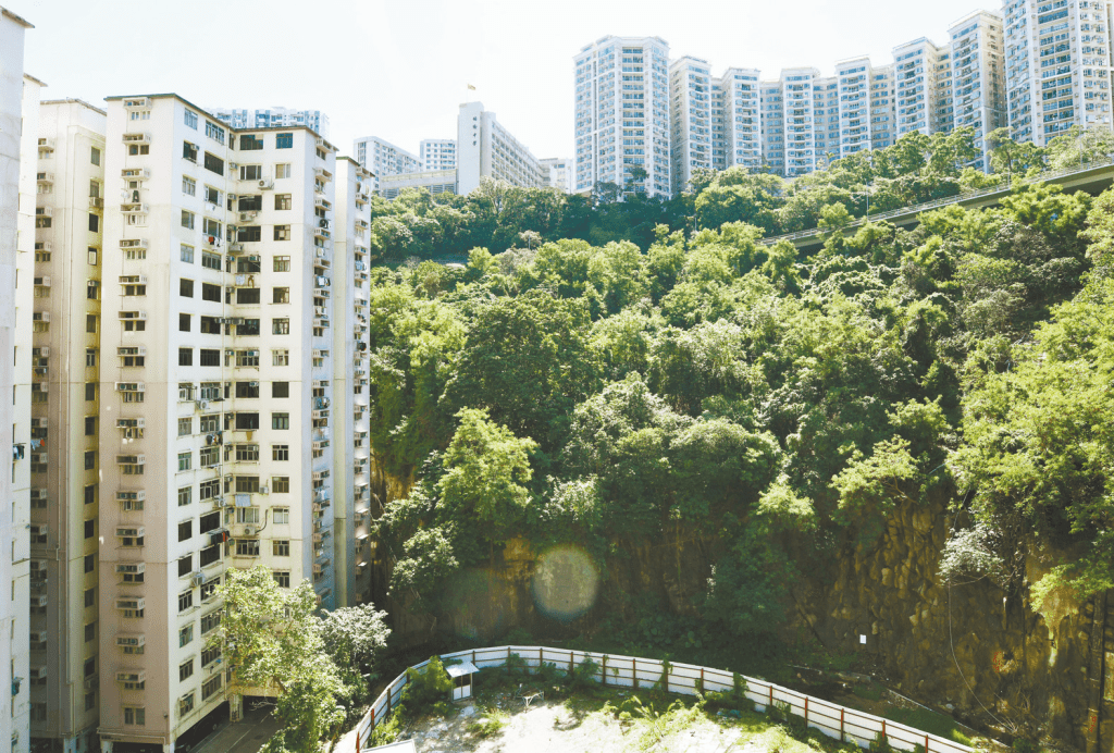 露台可享青翠树景及宝马山，环境幽静。