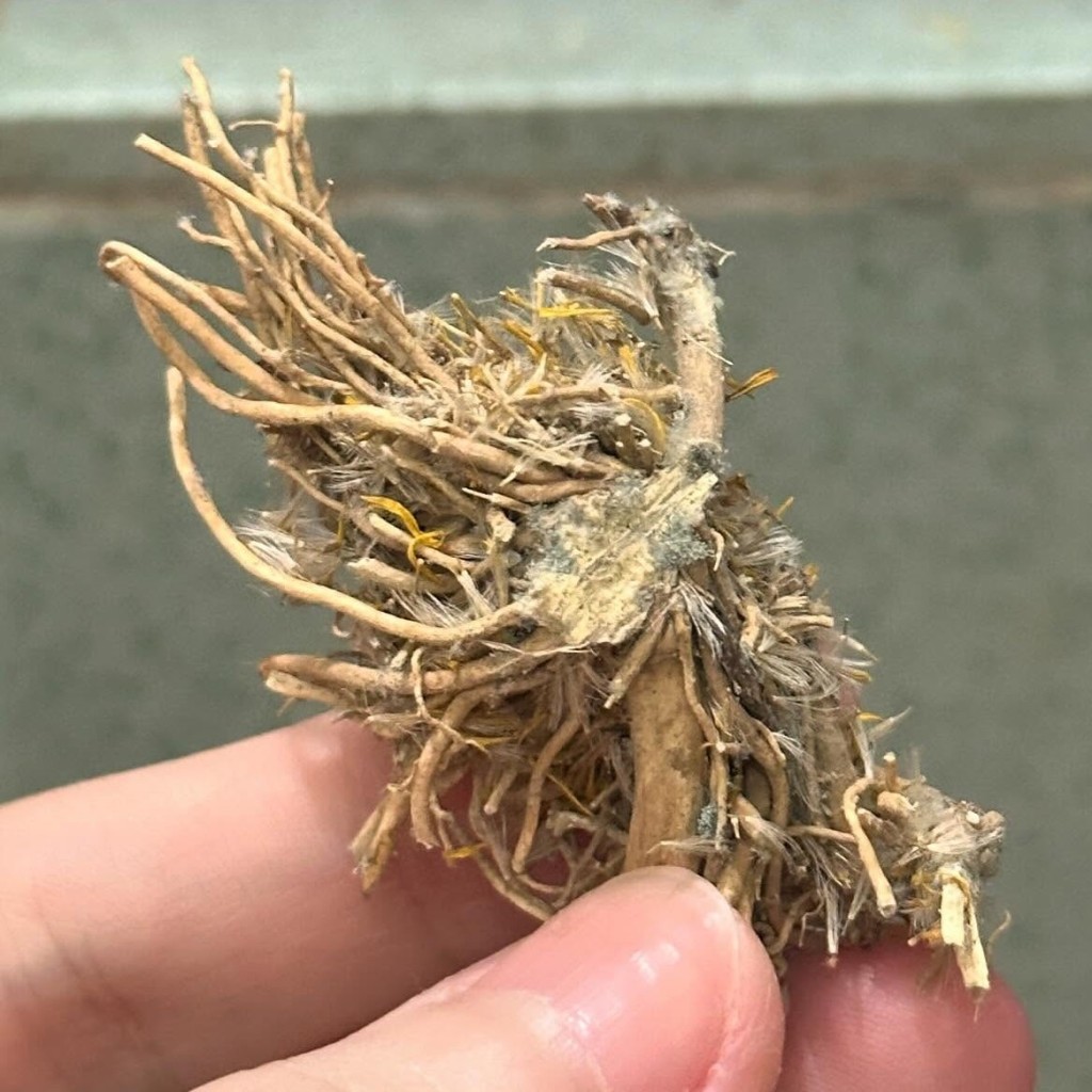 另有大頭蝦網民坦言「如果係我, 我應該望都唔望直接煮咗…」。Threads截圖 另有大頭蝦網民坦言「如果係我, 我應該望都唔望直接煮咗…」。Threads截圖