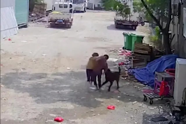 黑狗從後襲擊死者,身旁女子試圖制止。互聯網圖片