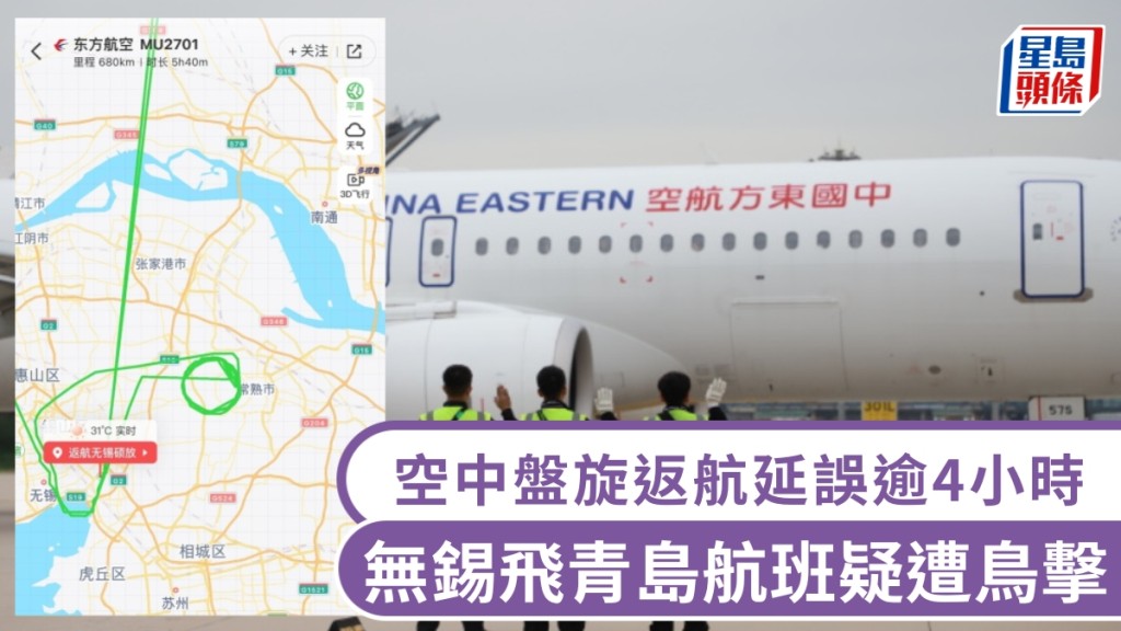 無錫飛青島航班疑遭鳥擊，空中盤旋返航延誤逾4小時。