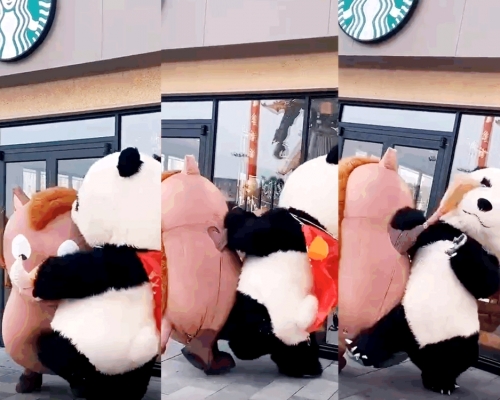 江蘇街頭「熊貓」與「野豬」在街頭互毆。影片截圖