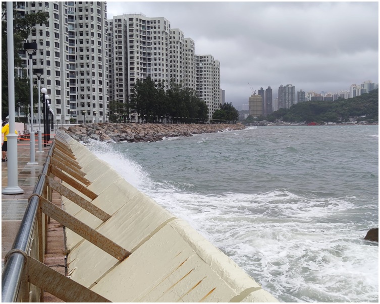 杏花邨海面有白頭浪。