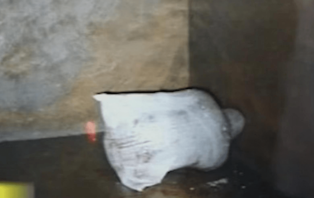 網傳裝着屍體、突出頭部的白色編織袋。