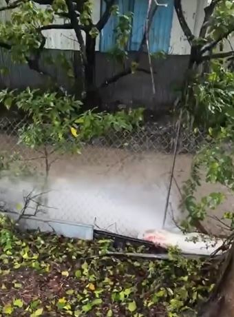 強力排水機械人「龍吸水」亦正於坪輋李屋村協助處理水浸。渠務署網頁