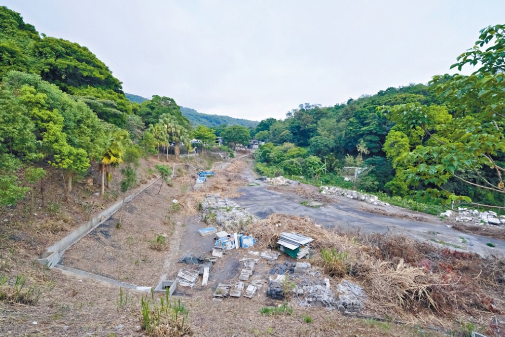 財團就川龍地皮向城規會申建1幢酒店大樓及13幢度假別墅。