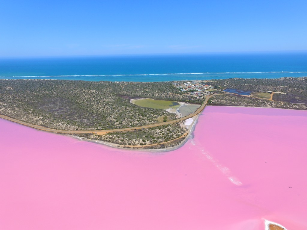 在西澳州的其中一個重點，便是到訪美麗的粉紅湖。（圖：Gloria Lo）